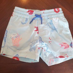 12/18m TBBC EUC Chalk Sound Seahorse Trunks
